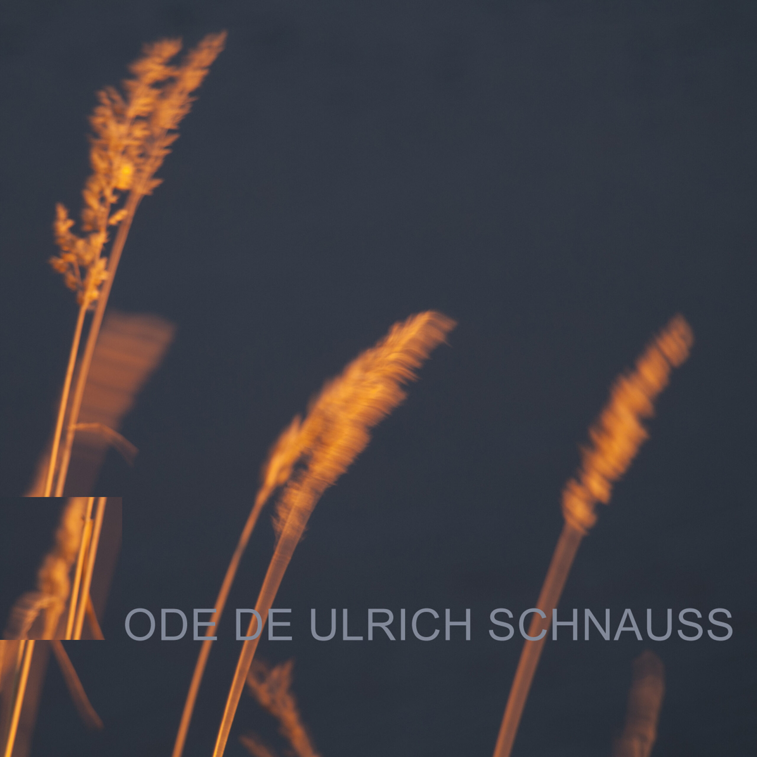 Ode de Ulrich Schnauss
